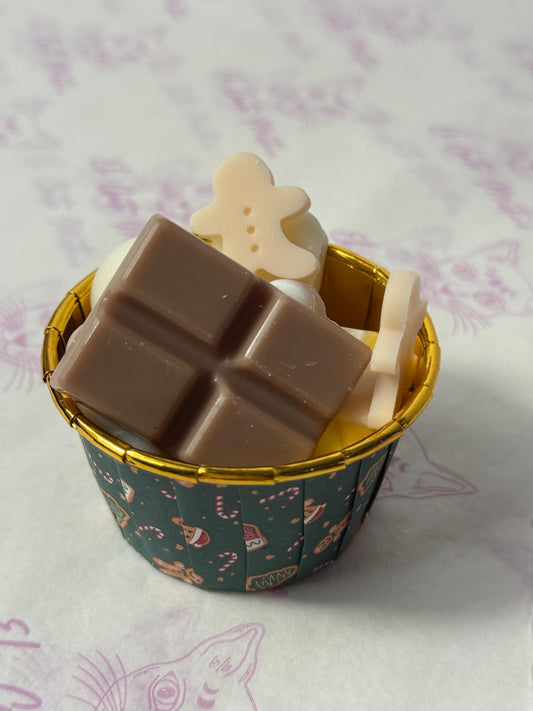 Degustación Wax Melts de Invierno